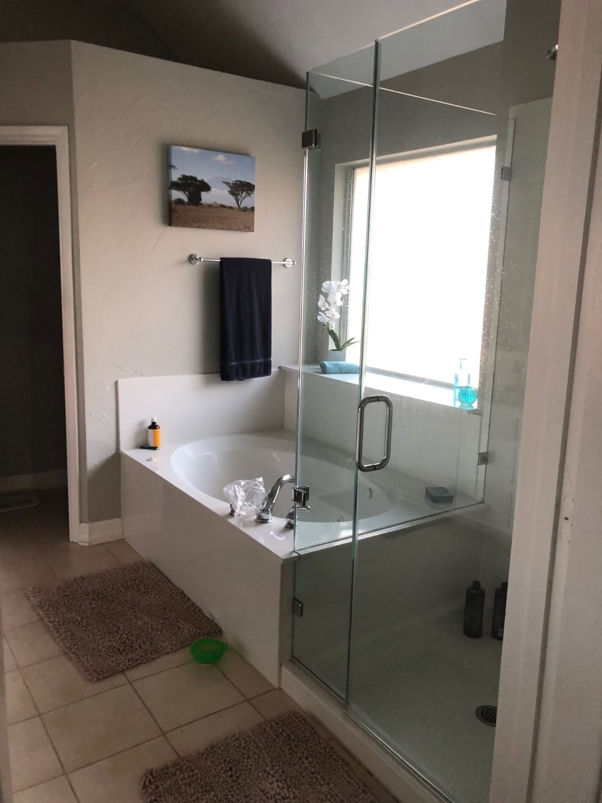 Master Bath Overhaul photo 3